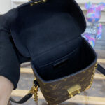 Louis Vuitton Camera Box M82465 Brown